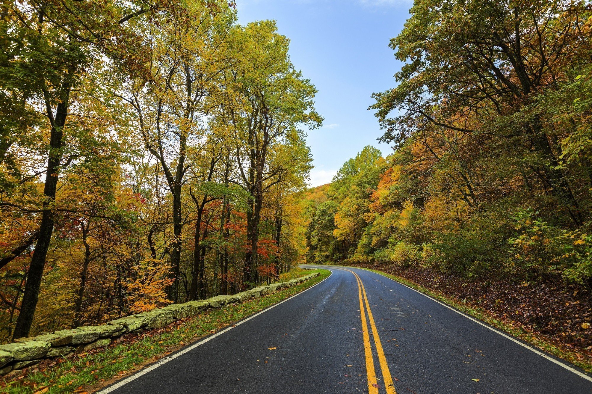 things to do in falls church