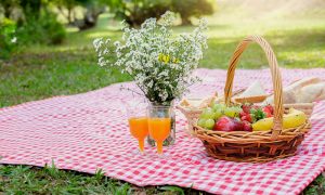 Picnic at one of the Parks in Bethesda, MD