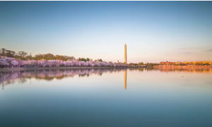 Parkland alongside Potomac River is among the best parks in McLean, Virginia