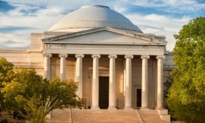 the national museum of natural history, one of the great museums in Washington, D.C.