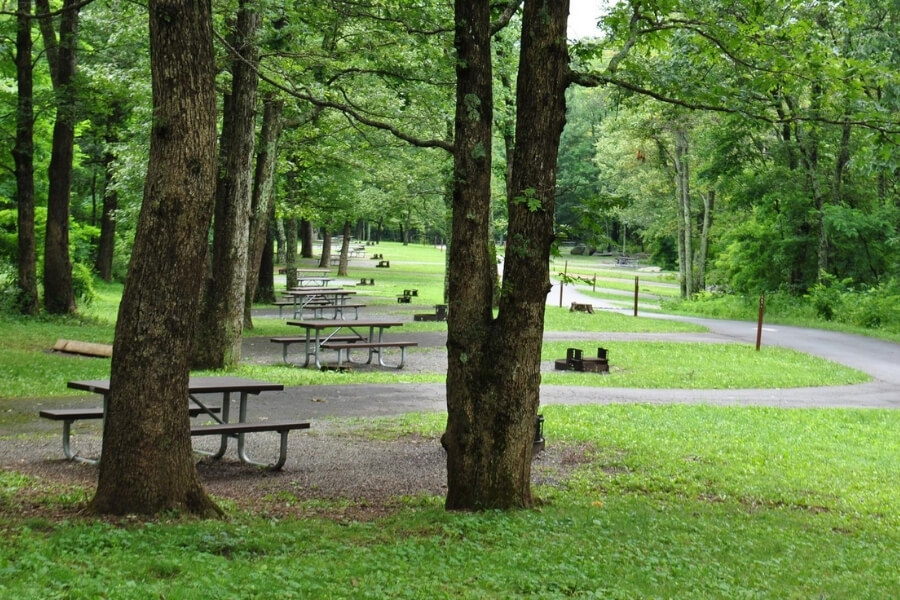 Picnic tables near campground in Shenandoah National Park