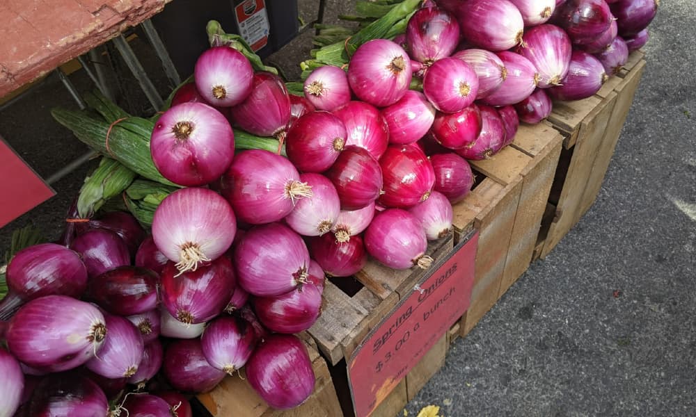 Some onions for sale at the Dupont Circle Farmers Market