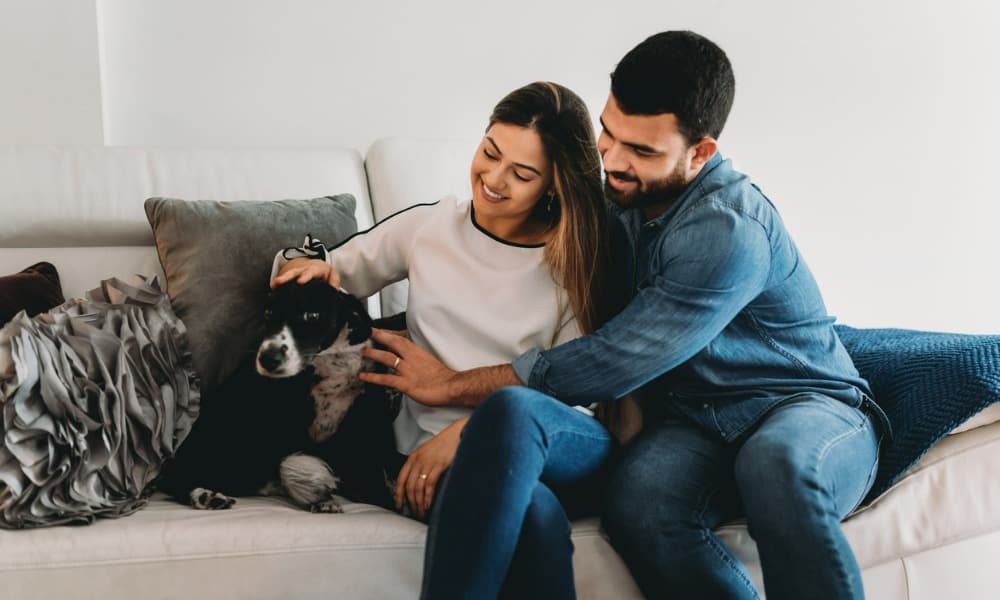 A couple with their dog in a pet-friendly property in D.C.