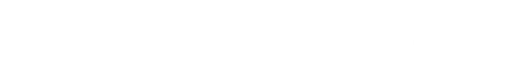 Direction.com SEO/GEO logo.