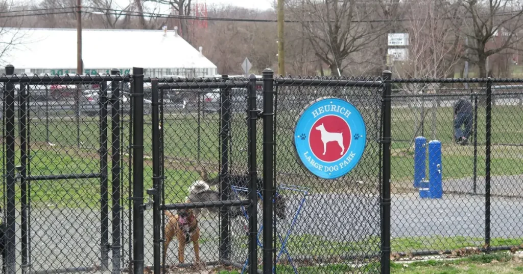 A bustling Heurich Dog Park with various breeds of dogs playing and socializing on a sunny day.