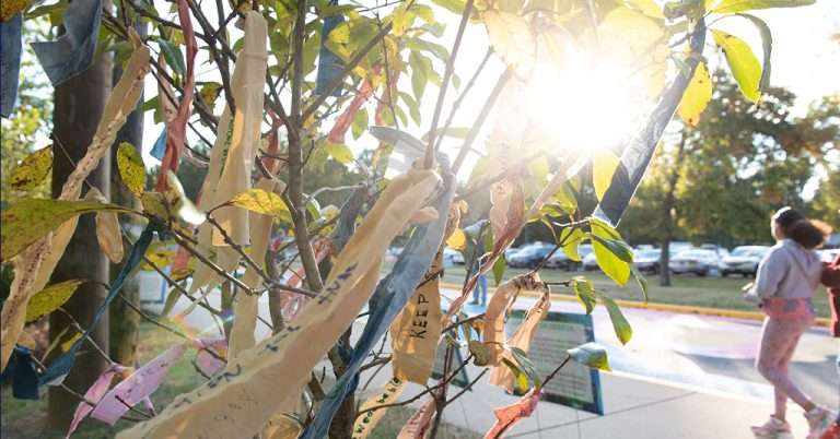 A tree adorned with colorful fabric ribbons containing handwritten messages at Magruder Park, with sunlight shining through its leaves and people walking by in the background.