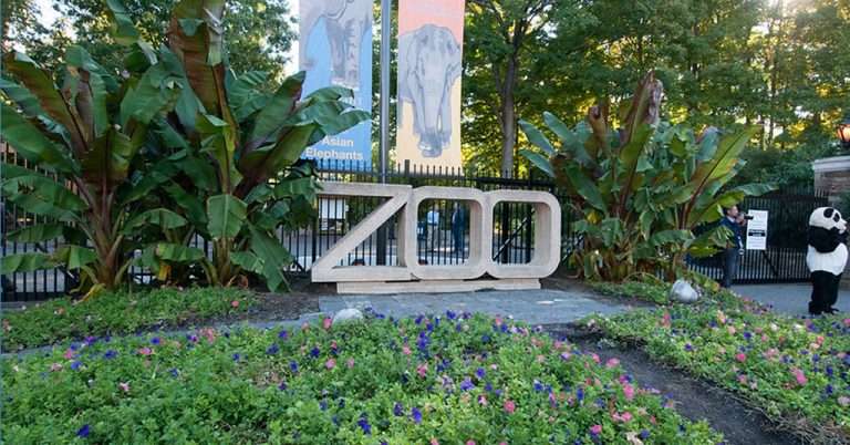 The entrance to the Smithsonian National Zoo, featuring a large stone "ZOO" sign, lush green plants, and colorful flower beds. Banners promoting Asian elephants hang above, and a person in a panda costume is visible on the right side near the gate.