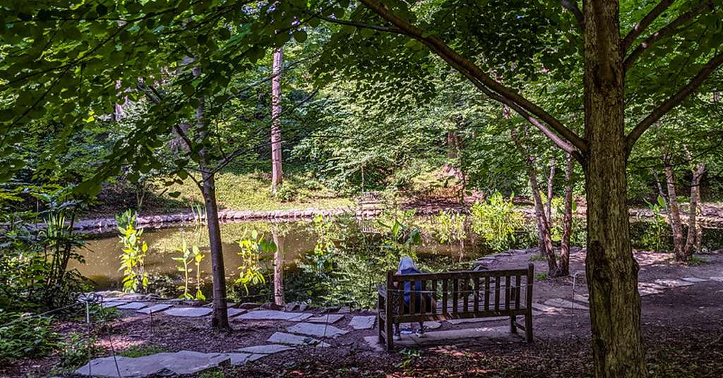 Serene Bench by a Pond at Tregaron Conservancy