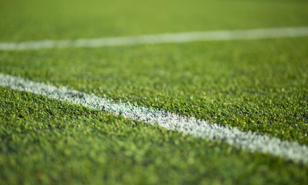 Close up of Long Bridge turf