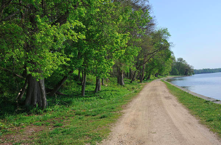 Mount Vernon Trail - tree-lined gravel path running along Potomac River waterfront with lush green foliage and peaceful water views on sunny day