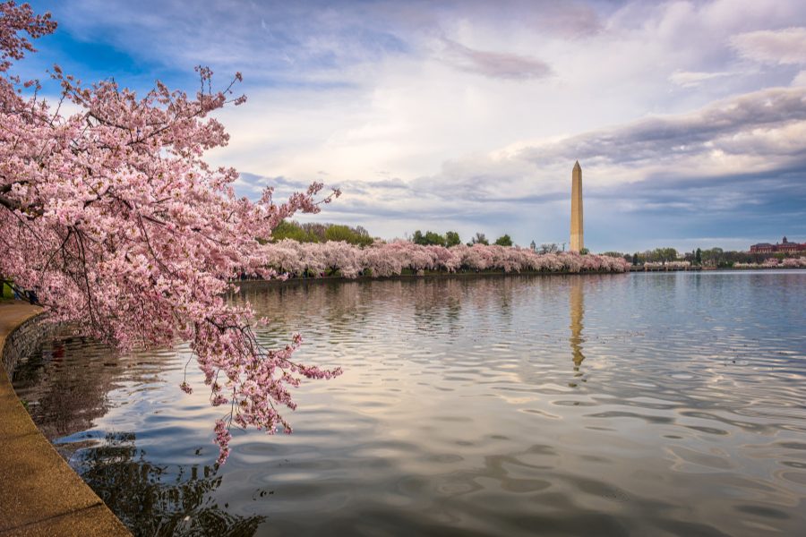 A Total Guide to Becoming a Real Estate Agent in Washington, DC 1 A Total Guide to Becoming a Real Estate Agent in Washington, DC 1