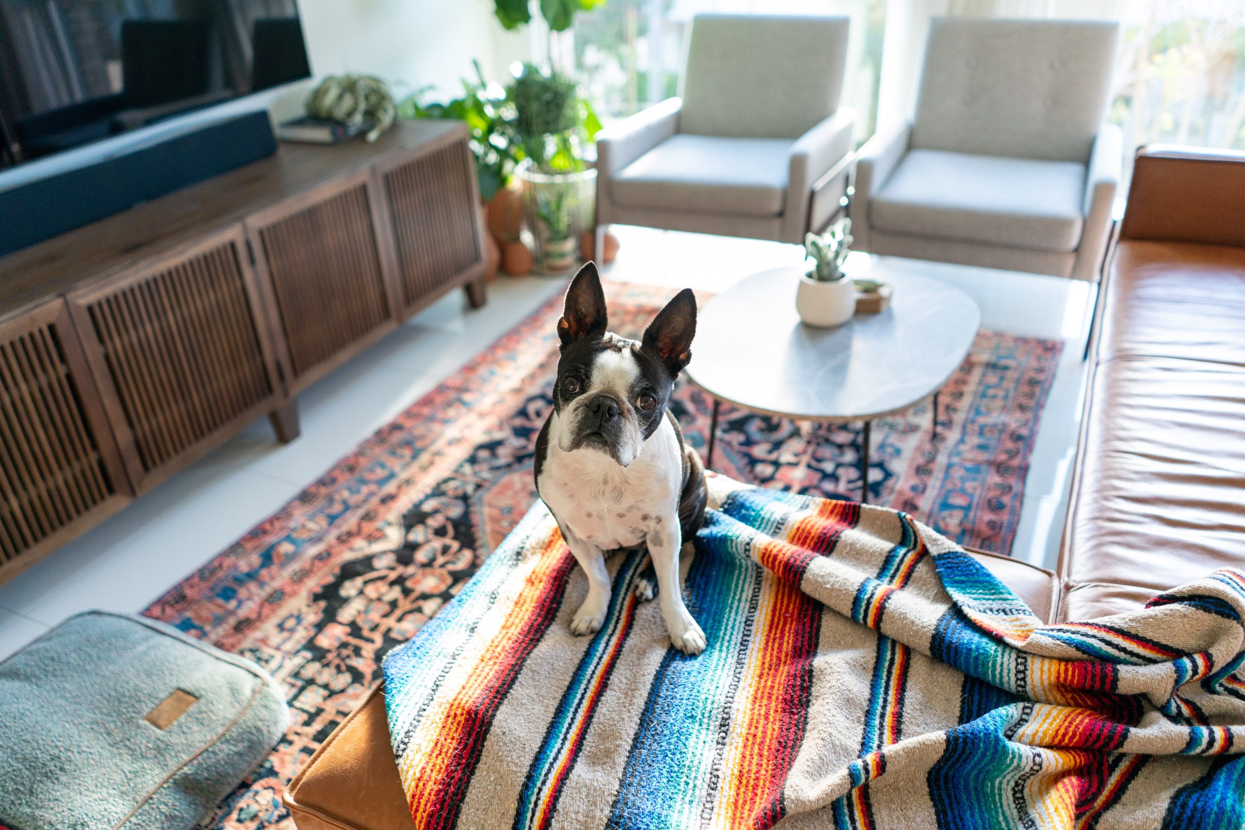 11 Tips for How to Manage Multiple Properties With Ease 2