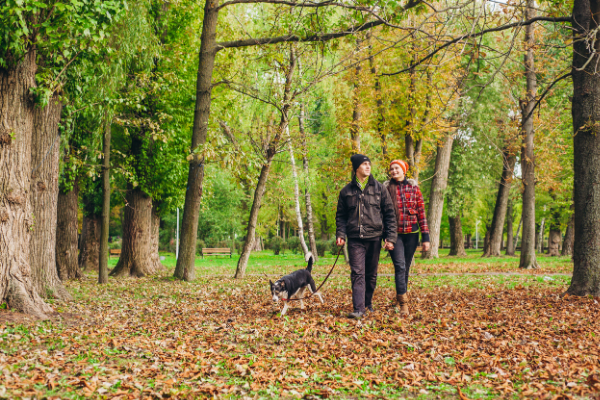 The Bethesda Trolley Trail: Everything You Need To Know 3