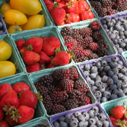 farmers market
