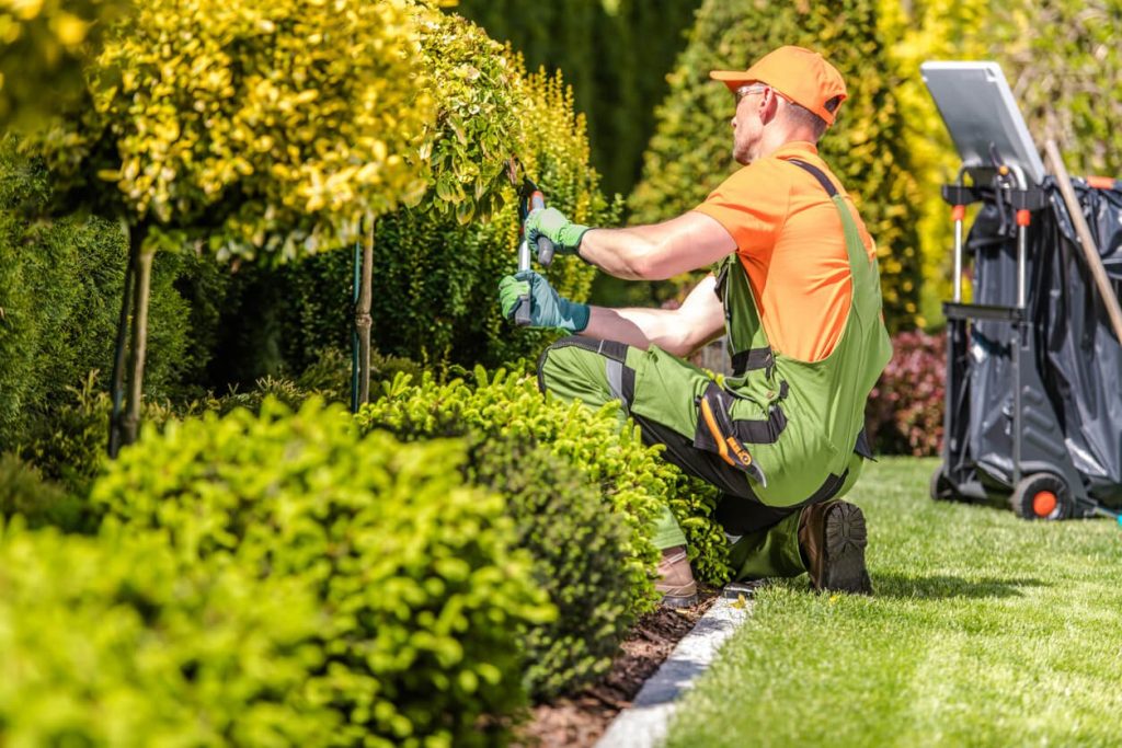 8 Easy Landscaping Tips for Your Rental Property 1 Rental Property Summer Landscaping Tips