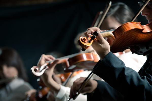 Must-See Theatre and Arts in Bethesda, Maryland 2