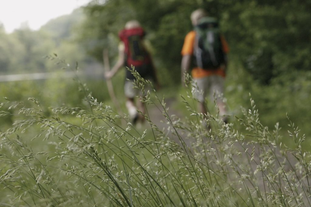 two people going on a hike