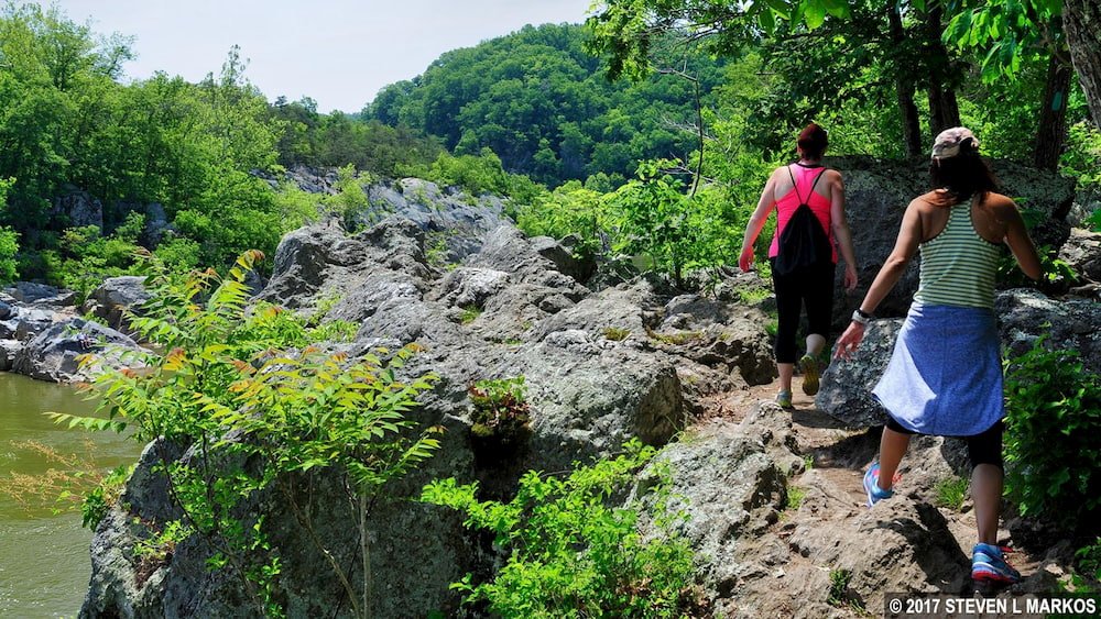 People hiking swamp trail in Great Falls VA.
