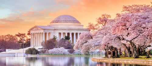 9 Swoon-Worthy Discoveries in Falls Church, VA 2