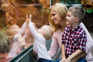 Tourists watching the insect in terrarium at zoo