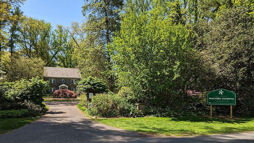 Tree-lined path leading to a house, surrounded by greenery.