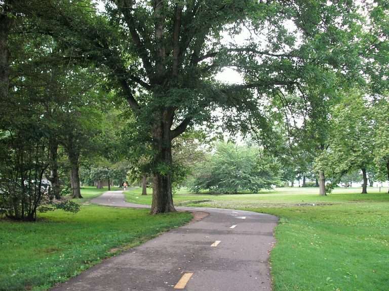 Tree-lined park path curving through green grass and dense foliage under a cloudy sky.